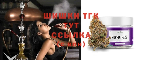 спайс Богданович