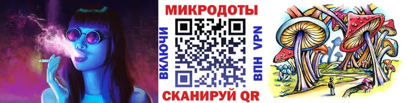 Псилоцибиновые грибы Psilocybe  Купить  Межгорье 